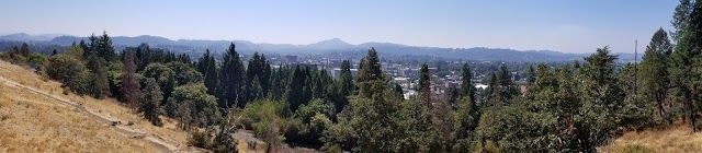 Skinner Butte Lookout