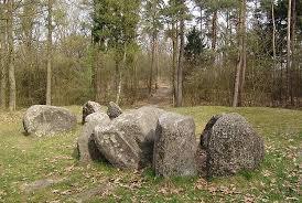 Terrein met hunebed D31