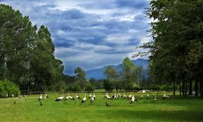 Nature Oasis Of Quadris