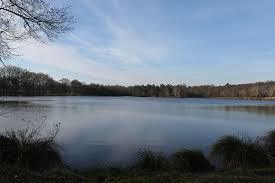 Etang de la Rocquennerie