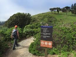 Dipsea Trail