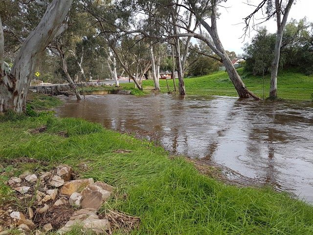 Dead Mans Pass Reserve