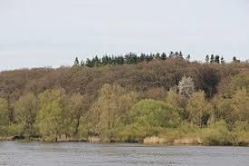 Hohes Elbufer zwischen Tesperhude und Lauenburg