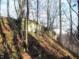 Burg Bühringen