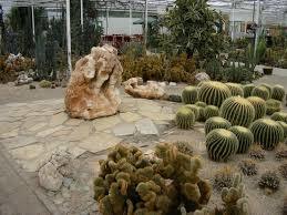Belevingspark Cactusoase Anny en Bert van der Meer