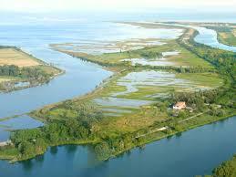 Riserva Naturale Regionale della Foce dell'Isonzo Isola della Cona