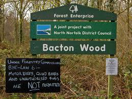 Bacton Wood