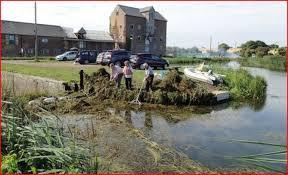North Walsham and Dilham Canal
