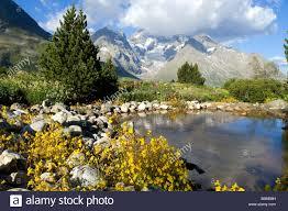 Jardin botanique du col du Lautaret