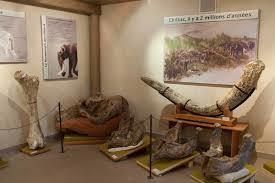 Musee de Paleontologie Christian Guth Chilhac
