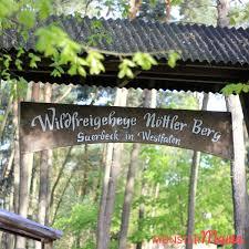 Wildfreigehege Nöttler Berg