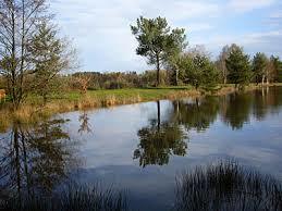 Étang de la Marette