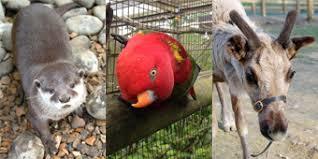 Tilgate Nature Centre