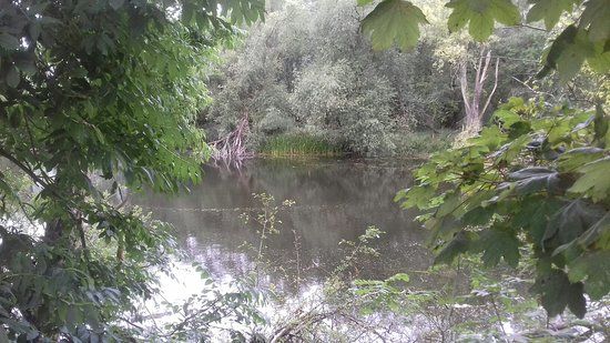 Irthlingborough Lakes and Meadows
