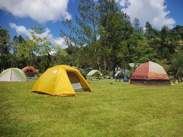Ebano Verde Scientific Reserve