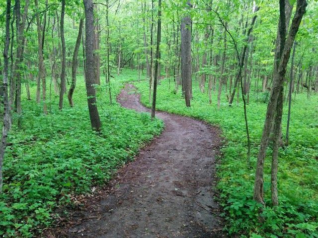 Celery Bog Nature Area