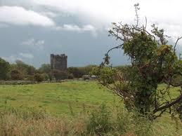 Ballynagowan Castle