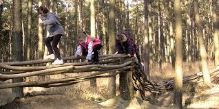 Speelbos Everzwijnbad