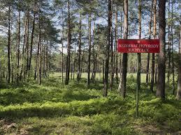 Rezerwat przyrody Suchy Łuk