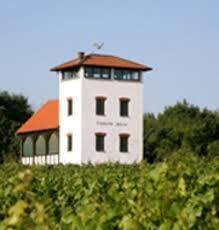 Hiwweltour Stadecker Warte