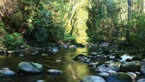 Kanaka Creek