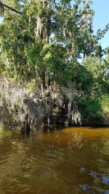 Turkey Creek Sanctuary
