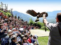 Gufyland Bird Care Centre