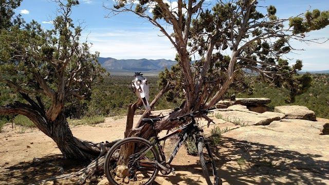 Phil's World Bike Trail