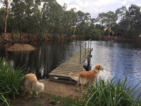 Grand Cru Wood Oven Restaurant