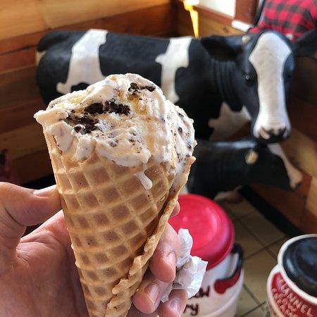 Flannel Cow Creamery