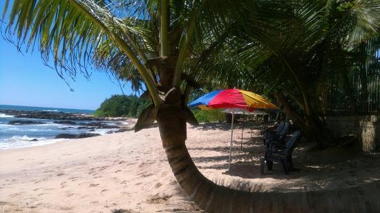 The Beach Restaurant