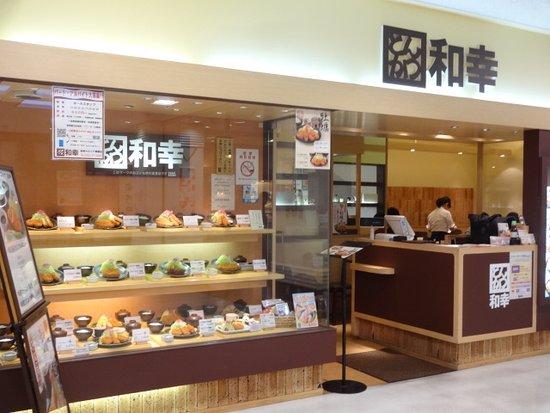 Wako Kalmia Toyohashi