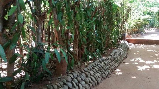 Heritage Spice & Herbs