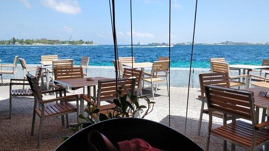 Citron by Lemongrass