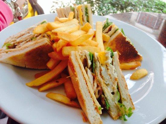 Parrot Cafe