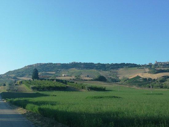 Ristorante dell'Agriturismo Crosta