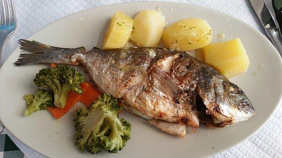 Pastelaria alfacinha