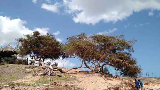 Restaurante El Mirador