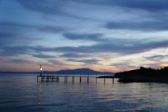 Zeytin Cicegi Restaurant