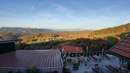 Weinbau und Buschenschank Tscheppe