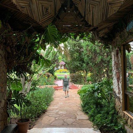 Bougainvillea Safari Lodge