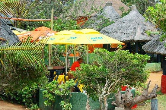 A Florestinha do Indico