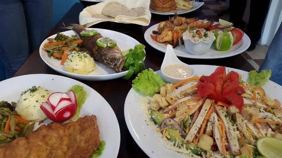 Restaurante y Cafe Bar Hibiskus