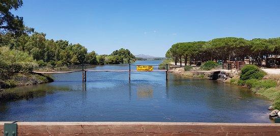 Snack Bar Su Petrosu Di Flore Giacomo