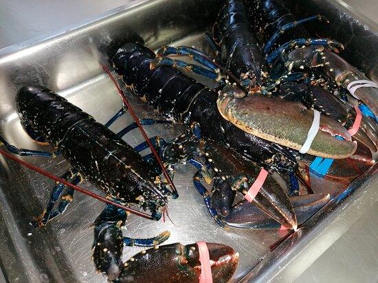 Restaurante Rústico