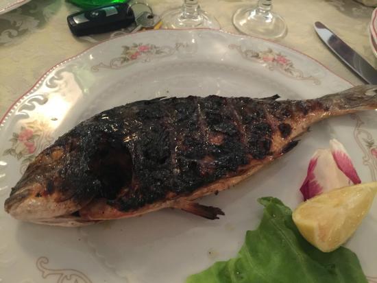 Il Pescatore Ristorante e Sala Ricevimenti