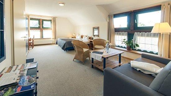 Alter Hof am Elbdeich