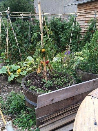 Le Pichenouille