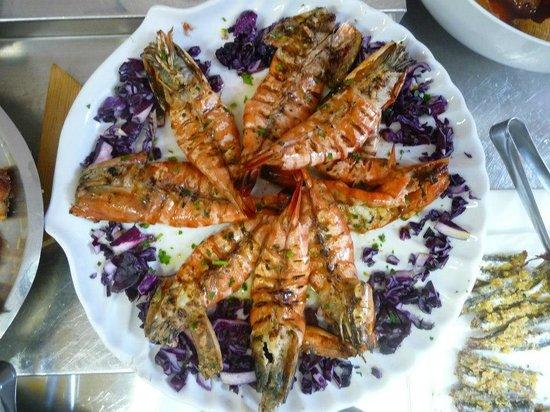 Il bello e la bestia