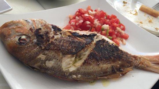 Restaurante Bar Bahia de Valdelagrana